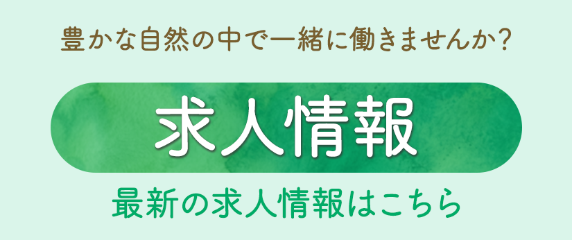 求人情報