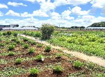 模擬就労プログラム